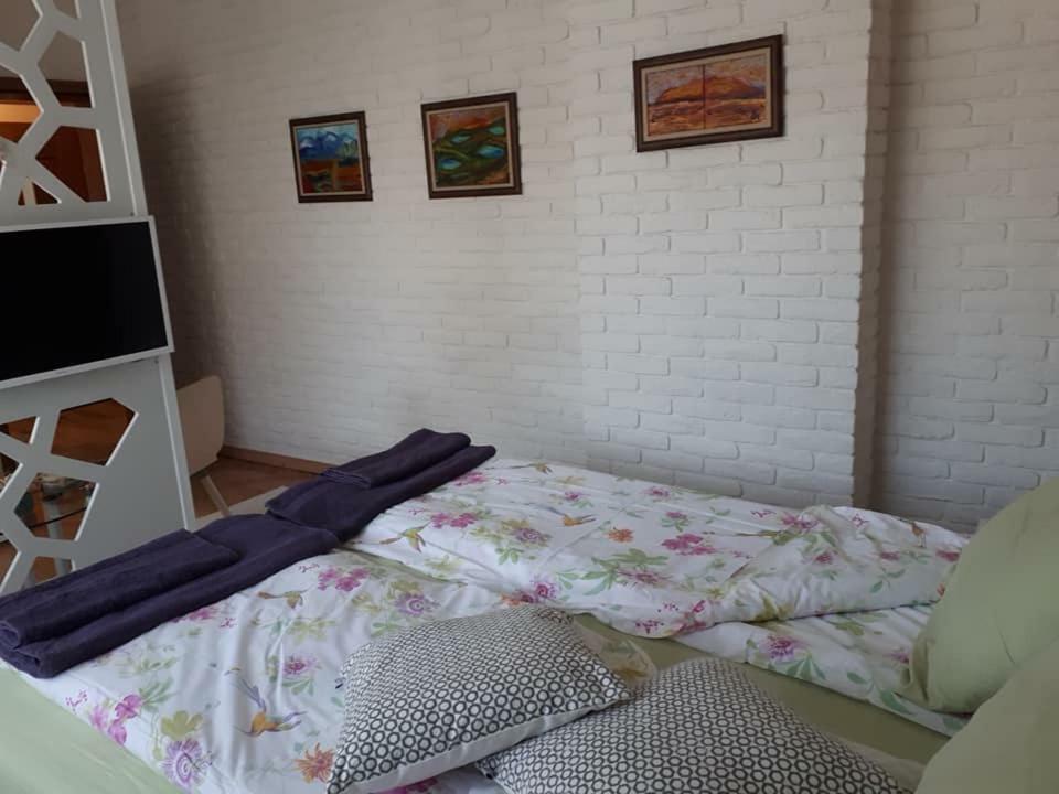Apartament Art *