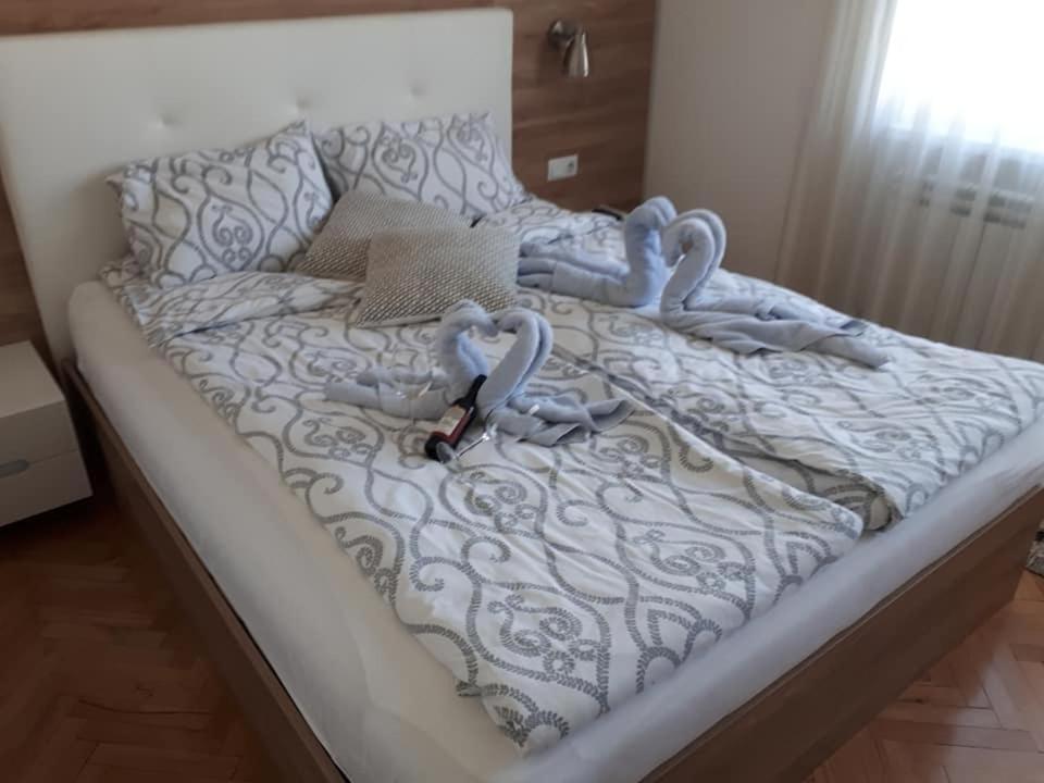 Apartament Art